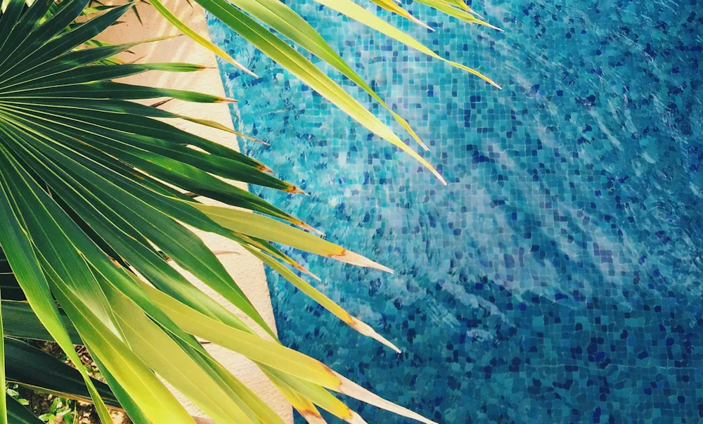 poolen som förvandlar din trädgård