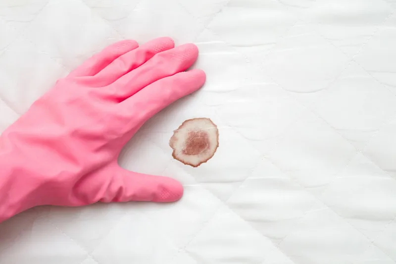 Husmorstips: Ta bort blodfläckar snabbt och enkelt